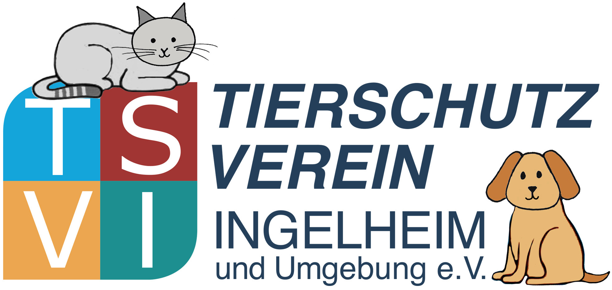 TSVI Banner 1